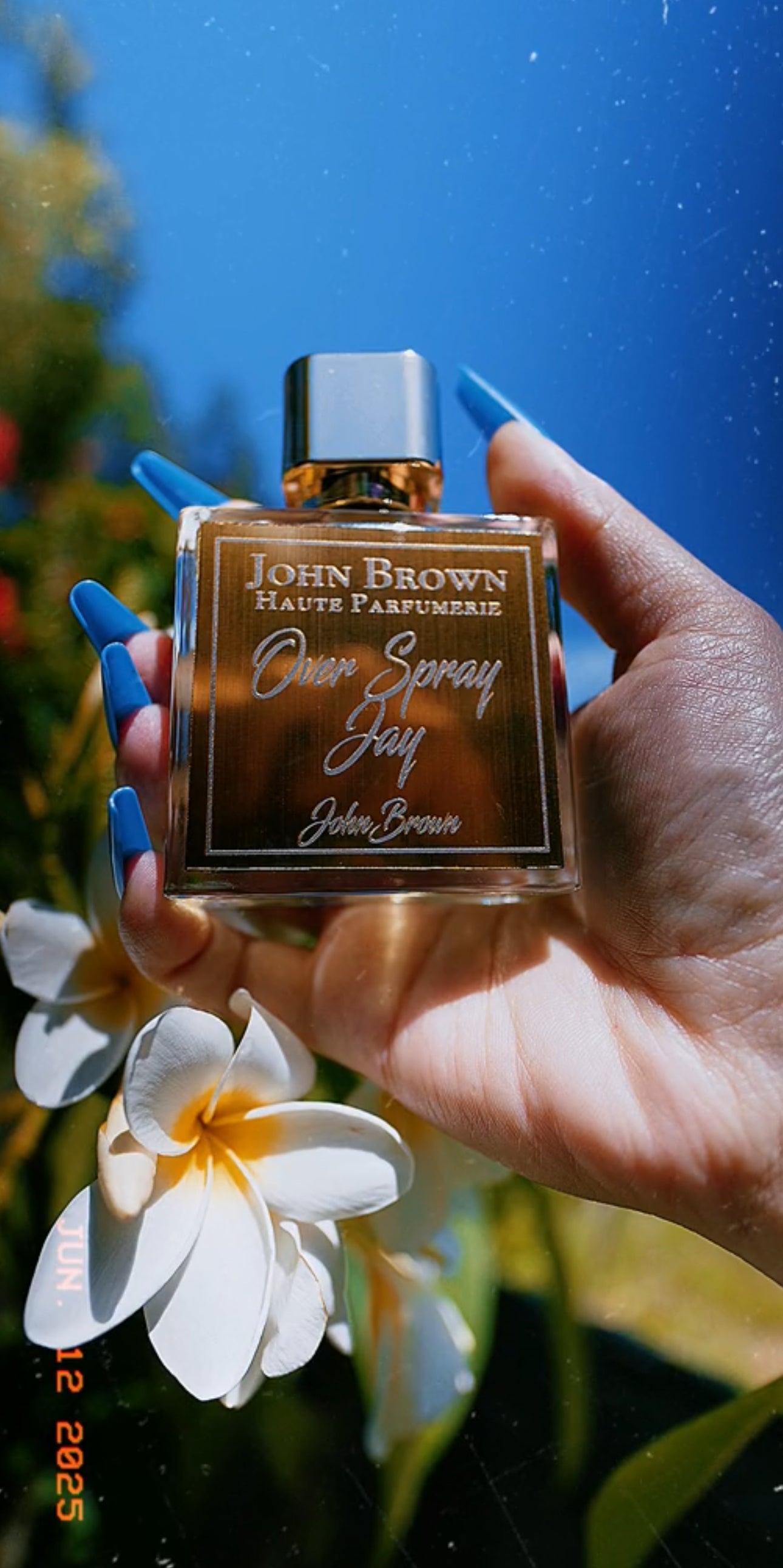 Overspray Jay by John Brown